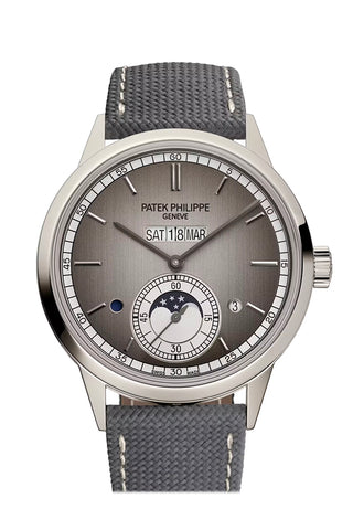 Patek Philippe Grand Complications 41 Grey Silver Dial Platinum Watch 5236P-011