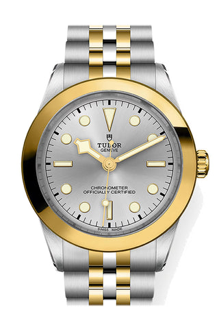 Tudor Black Bay 39 39 Silver Dial Yellow Gold Steel M79663-0002