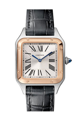 Cartier Santos Dumont Steel Rose Gold W2Sa0012 Watch