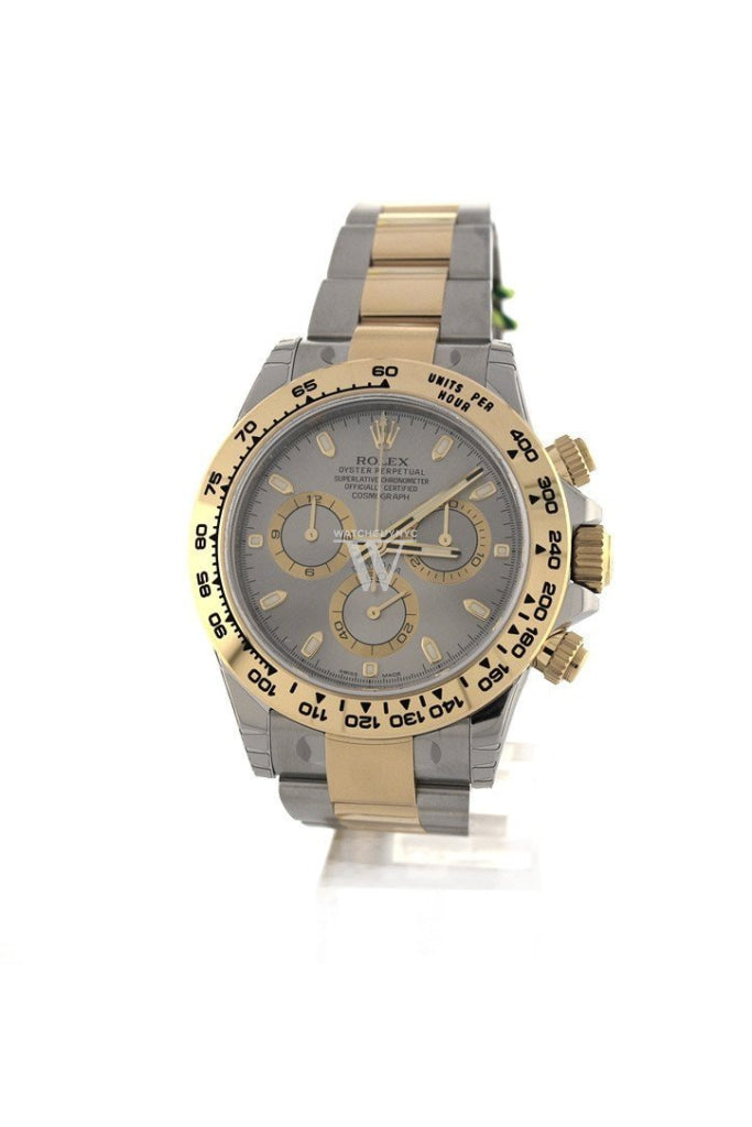 Rolex Cosmograph Daytona 40 Grey Dial Stainless Steel Oyster Mens Watch 116503